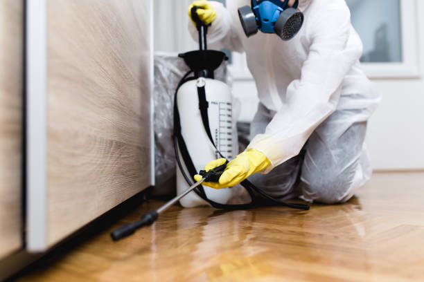 Best Residential Pest Control  in Coldstream, OH