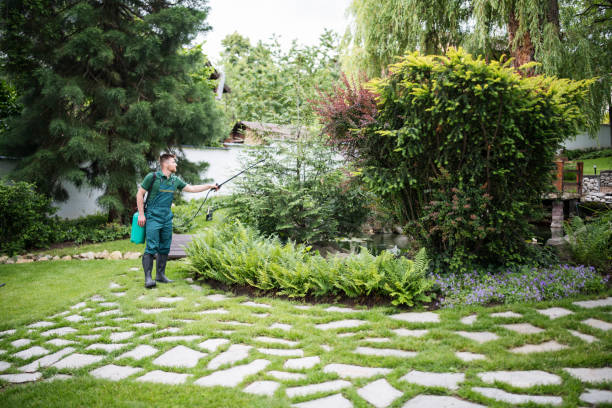 Best Exterminator Services  in Coldstream, OH