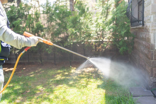 Best Insect Control  in Coldstream, OH